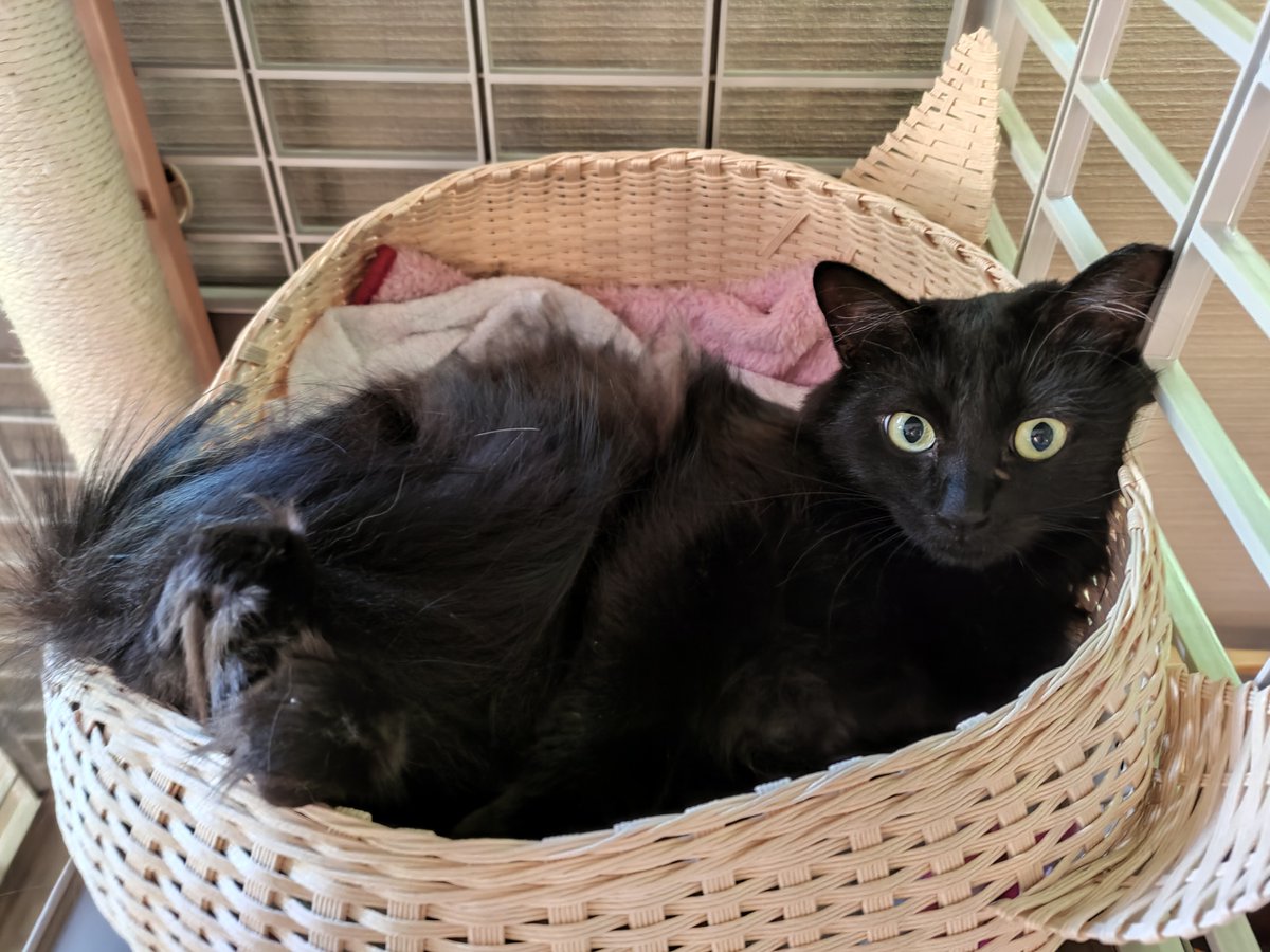 まるん tweet media