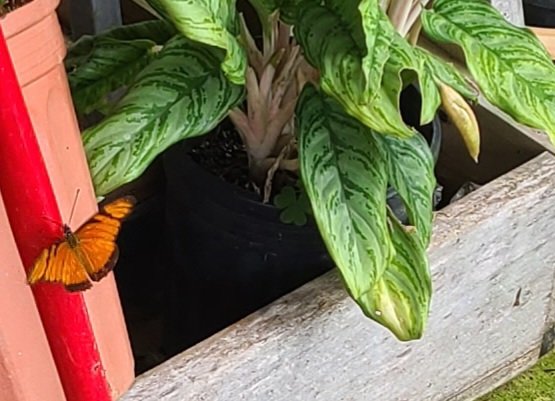 zonnaszone's tweet photo. Have you ever made your priority for the afternoon to simply enjoy nature? I could fill a gratitude journal, easily https://t.co/wUeyA33fXJ
