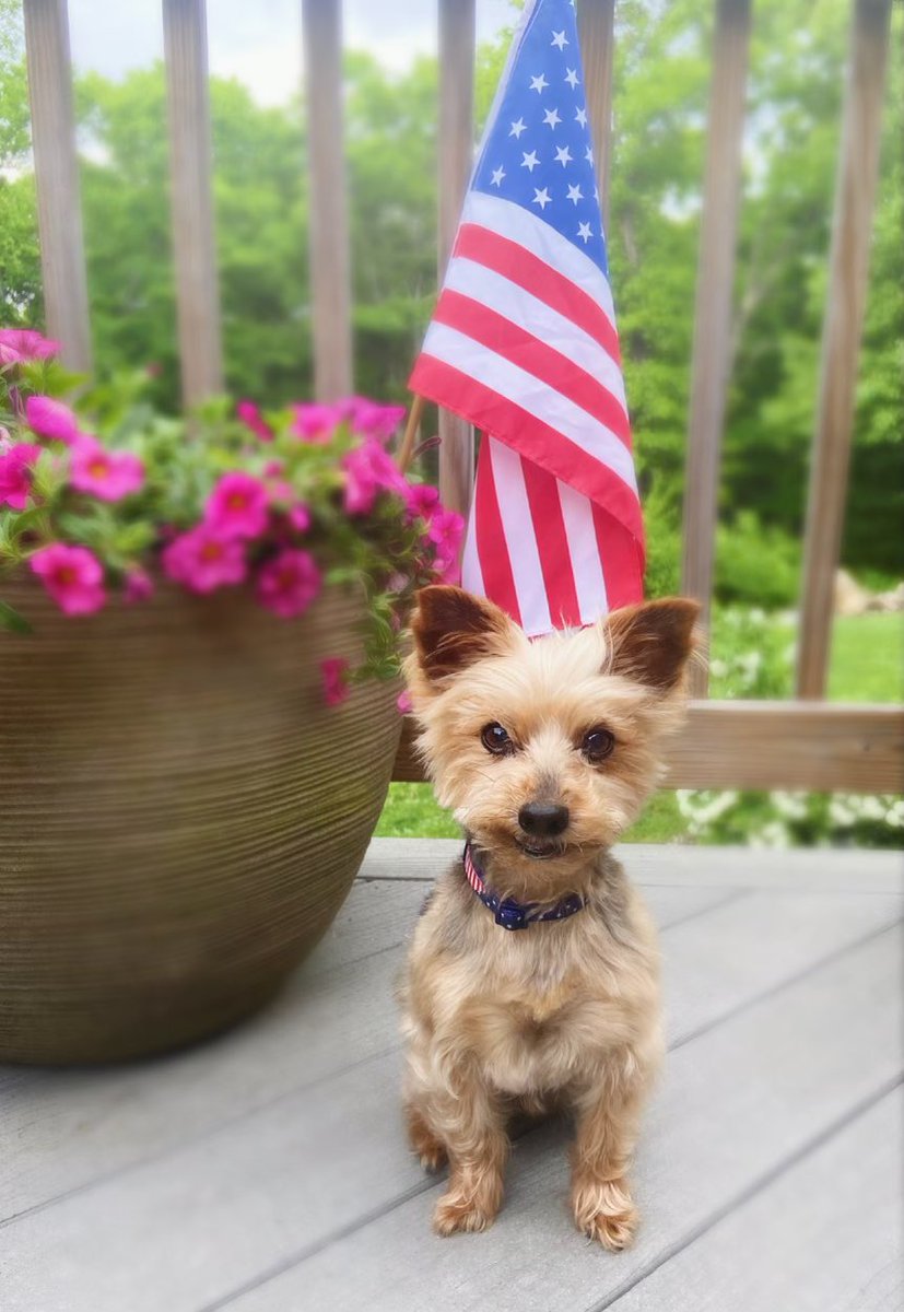 BlauForD30's tweet photo. As we come together to remember and honor those that have sacrificed for our precious freedoms, we wish you a safe and memorable weekend. https://t.co/e0iWgaj9WI