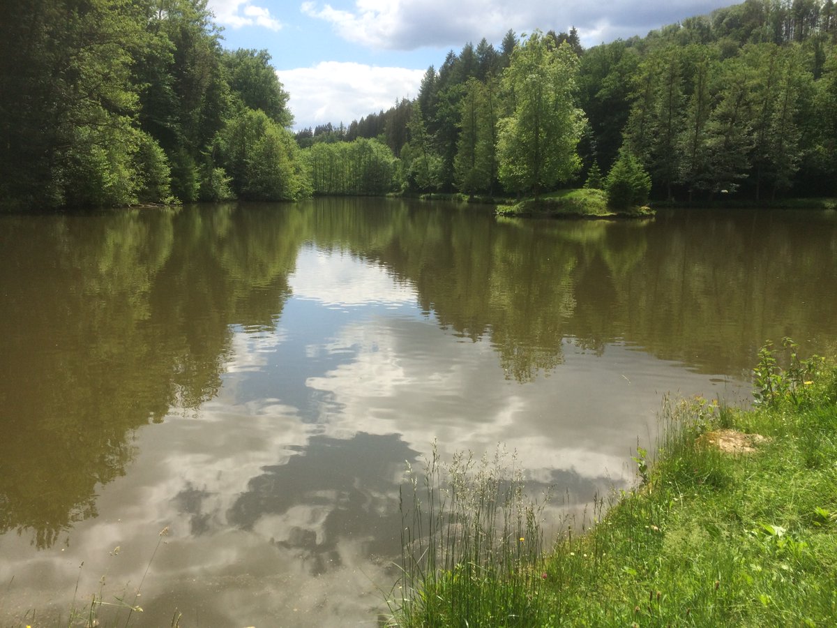 pascal_frey's tweet photo. Loechersbacherweiher à Lambach et Dreibirrefels de Lemberg, #Bitcherland, #PaysdeBitche, Vosges du Nord https://t.co/MMHumRVEbc