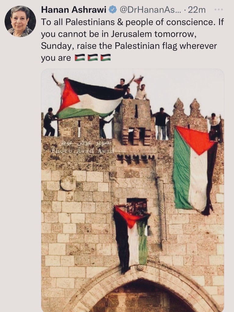 swilkinsonbc's tweet photo. This is such a crucial request from @DrHananAshrawi | everyone, everywhere, anywhere, raise the Palestinian flag for the homeland https://t.co/fkl4xSaJJv