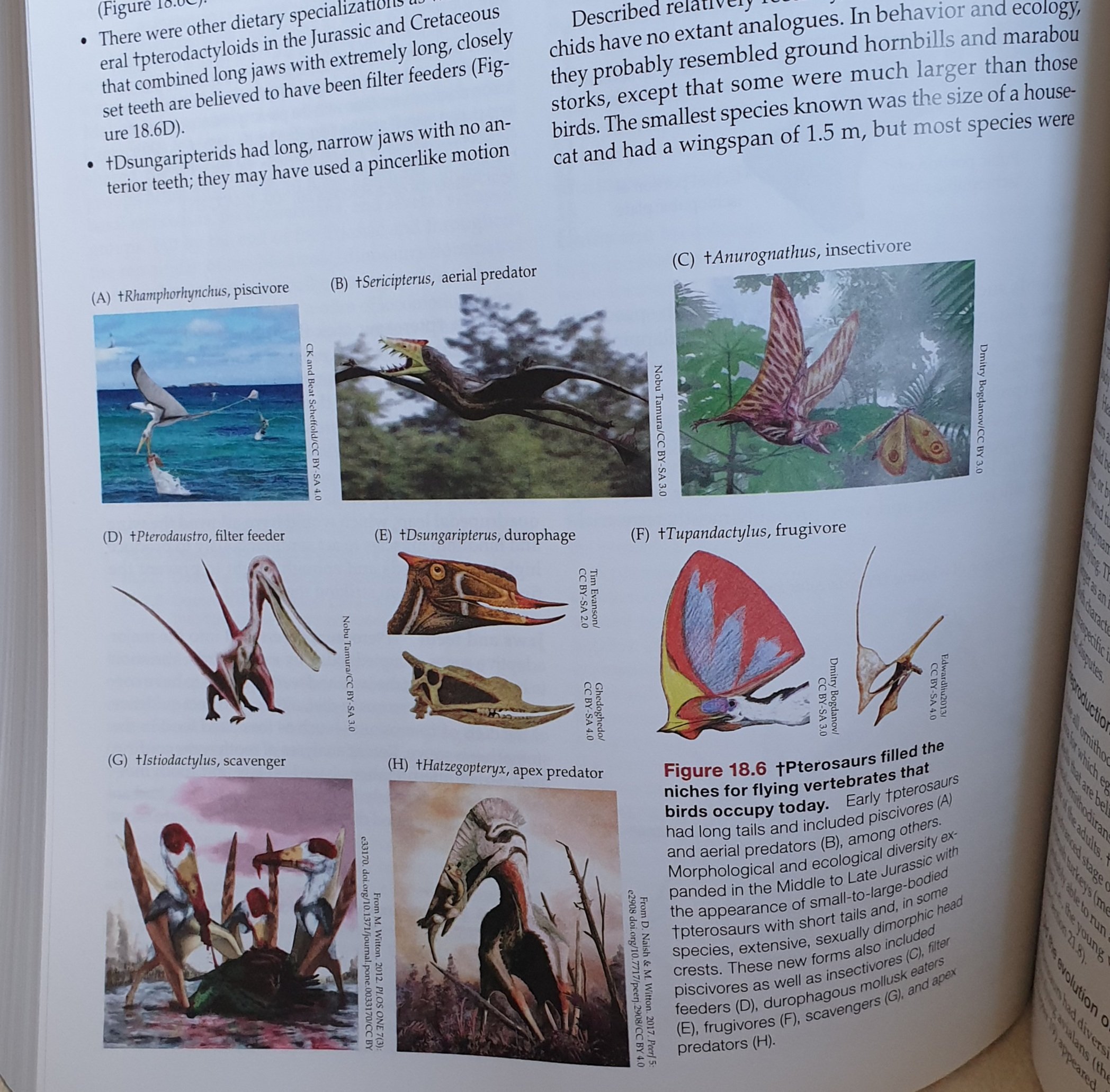 Darren Naish on Twitter: "Just received 11th edition (!) of Pough et al