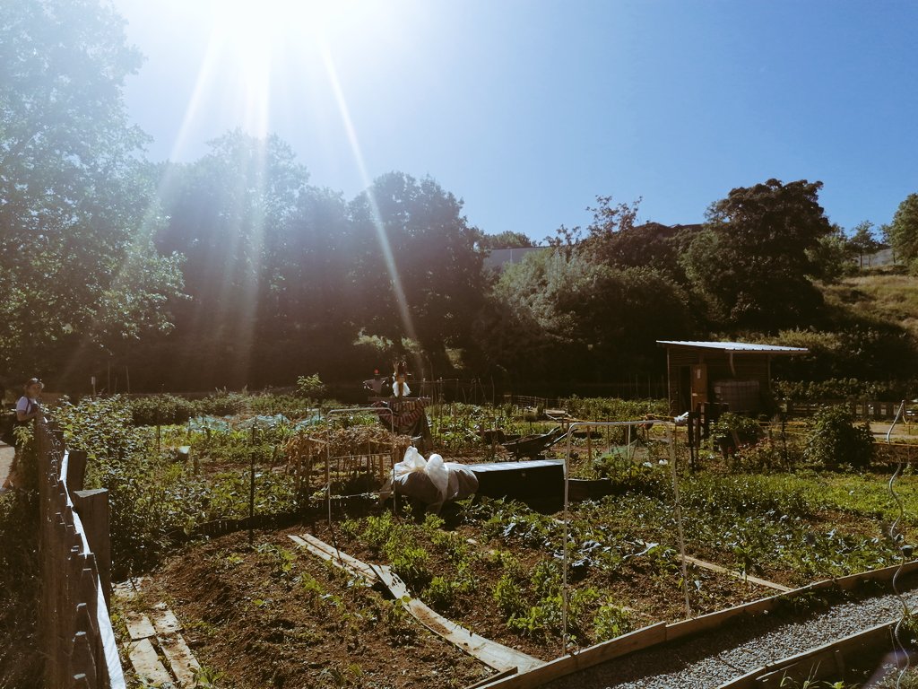 À Vaulx sud, marche blanche à la mémoire de Marie Reine, victime du 35e féminicide de l'année.
À Bron, aux UC, un quartier très impacté par les pollutions, l'écologie populaire est une urgence quotidienne. 
À Rillieux, au jardin de l'Oasis, moment de quiétude partagé.
#Circo6907