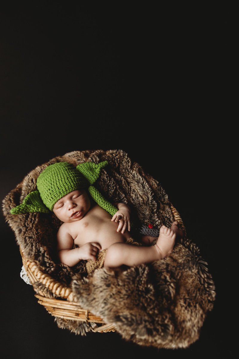 812Howard's tweet photo. The cutest little Yoda you’ve ever seen. 

📸- @HiebPhotography ♥️♥️ https://t.co/XD9Bsy82Jc