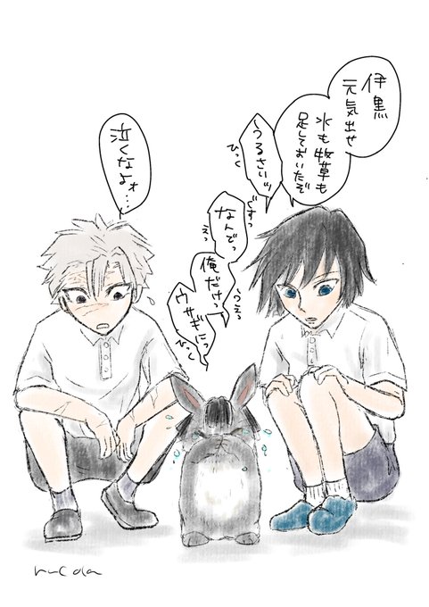 ウサギに転生してしまった🐍(記憶あり)
と、学校の飼育小屋で再会してしまった、6年1組飼育委員の🍃🌊

(ぼくのかんがえたいちばん悲しい転生軸) 