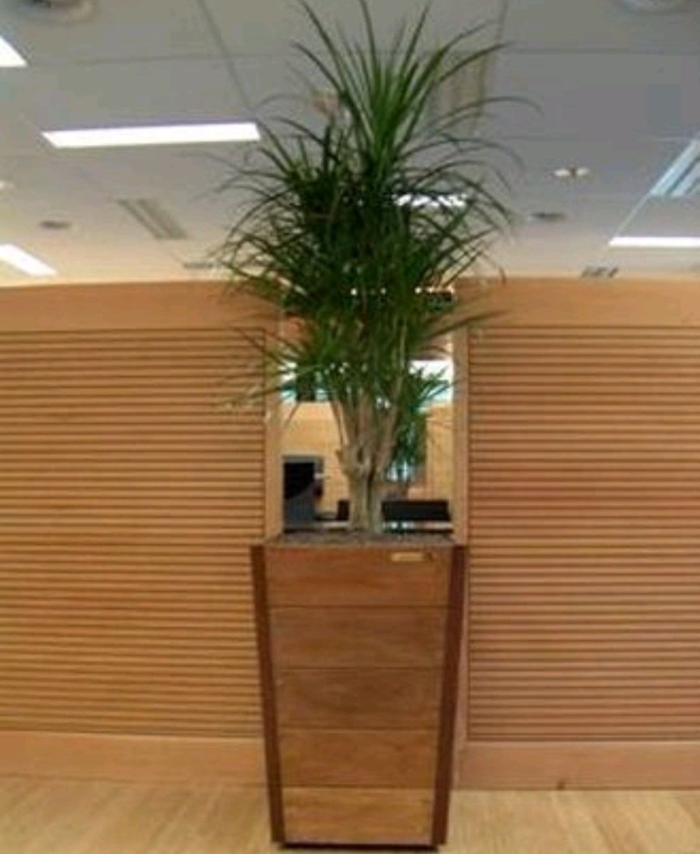 terrasweelde's tweet photo. https://t.co/ISklr1vNrY webshop heeft vandaag weer een aantal hardhouten plantenbakken bezorgd in België.
Dit maal het bij onze klanten populaire model Florence.
 #FSC #hardhout #topkwaliteit #handgemaakt https://t.co/HUdgZVuIas