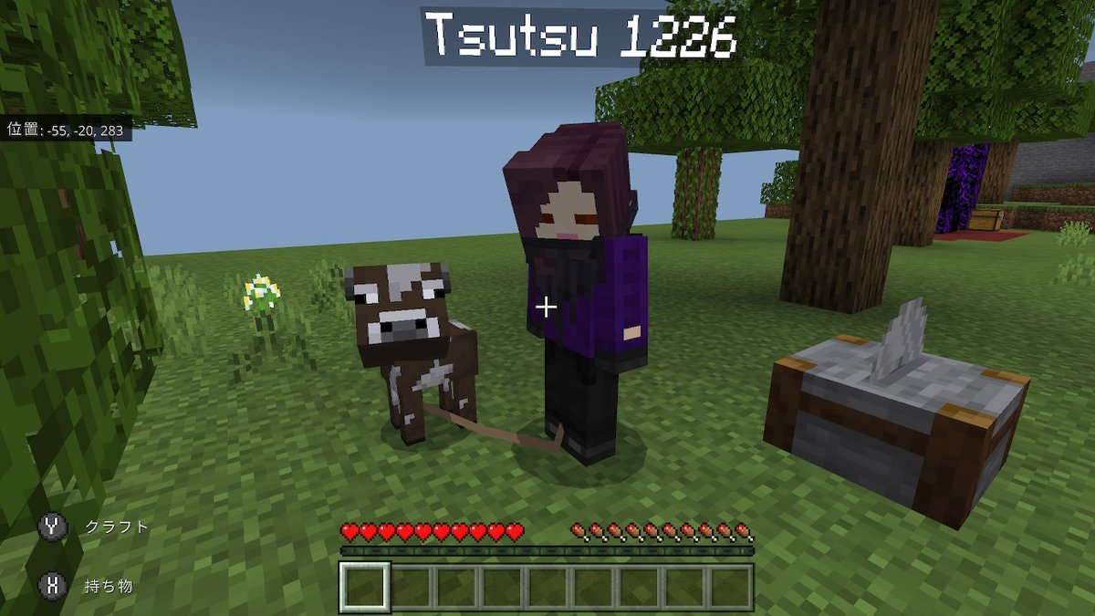piyochan705's tweet photo. 牛の散歩
#freeflat #Minecraft #マイクラ #マインクラフト https://t.co/4r1V7YKEBX