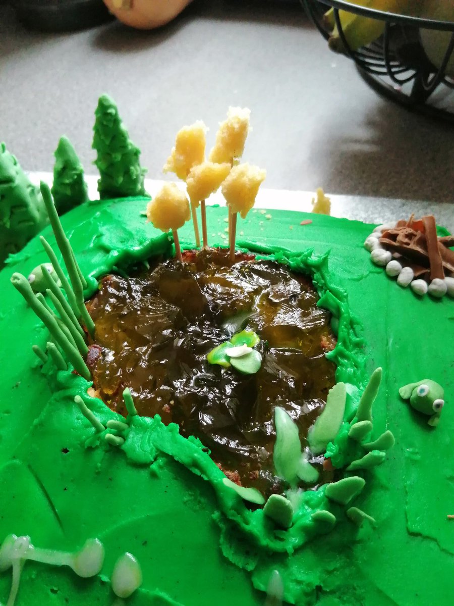 TommyDBone's tweet photo. Check out this amazing pond themed cake made by my similarly amazing fiancรฉ - this includes seed heads of bulrushes, lilly, frog, tadpoles ๐ธ
#pondlife
#cake
#cakemania https://t.co/BxXMwTPM1k