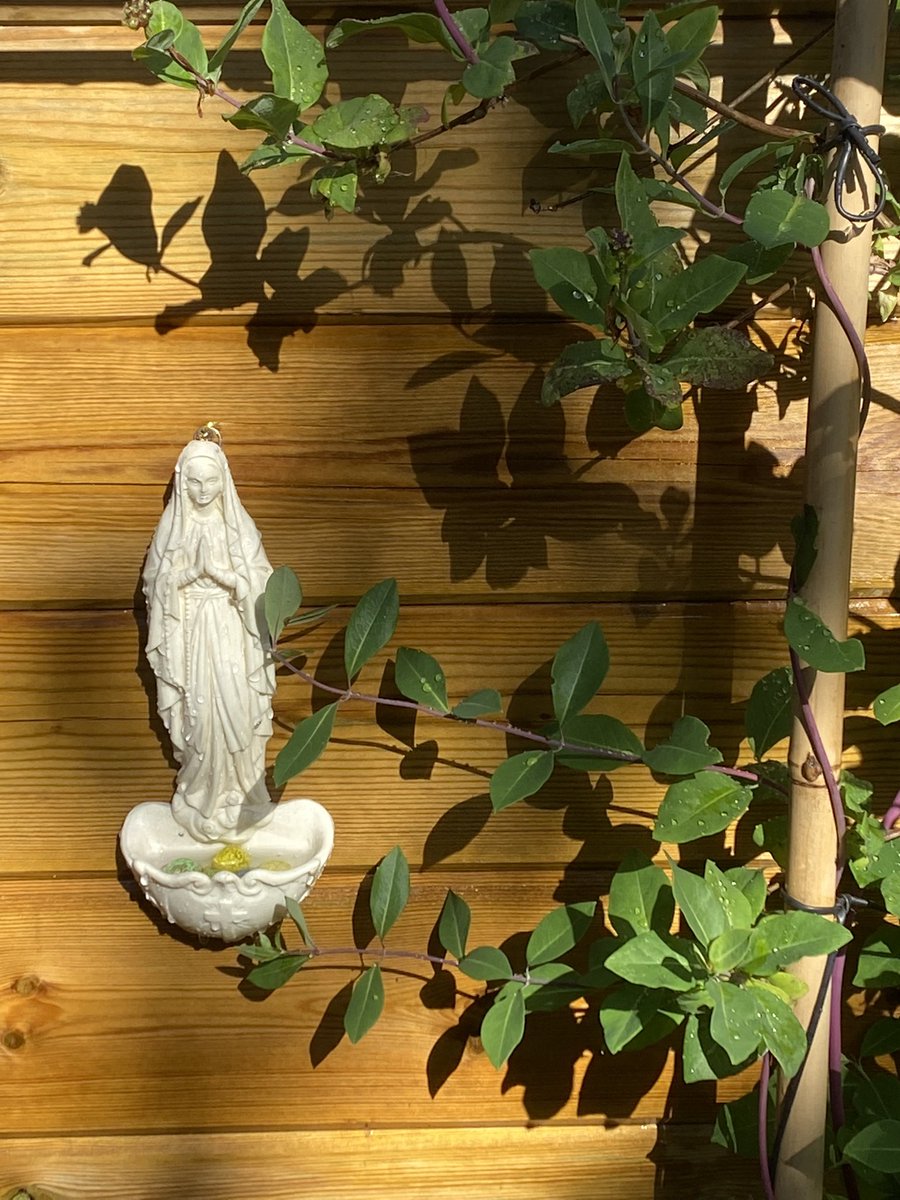 SophieH25306579's tweet photo. Thrifted these two holy water fonts and turned them into a drinking spot for #bees and #butterflies 😇 👼 #bugbar #beefriendly #thrifted #gardening https://t.co/u5PB5EIVip