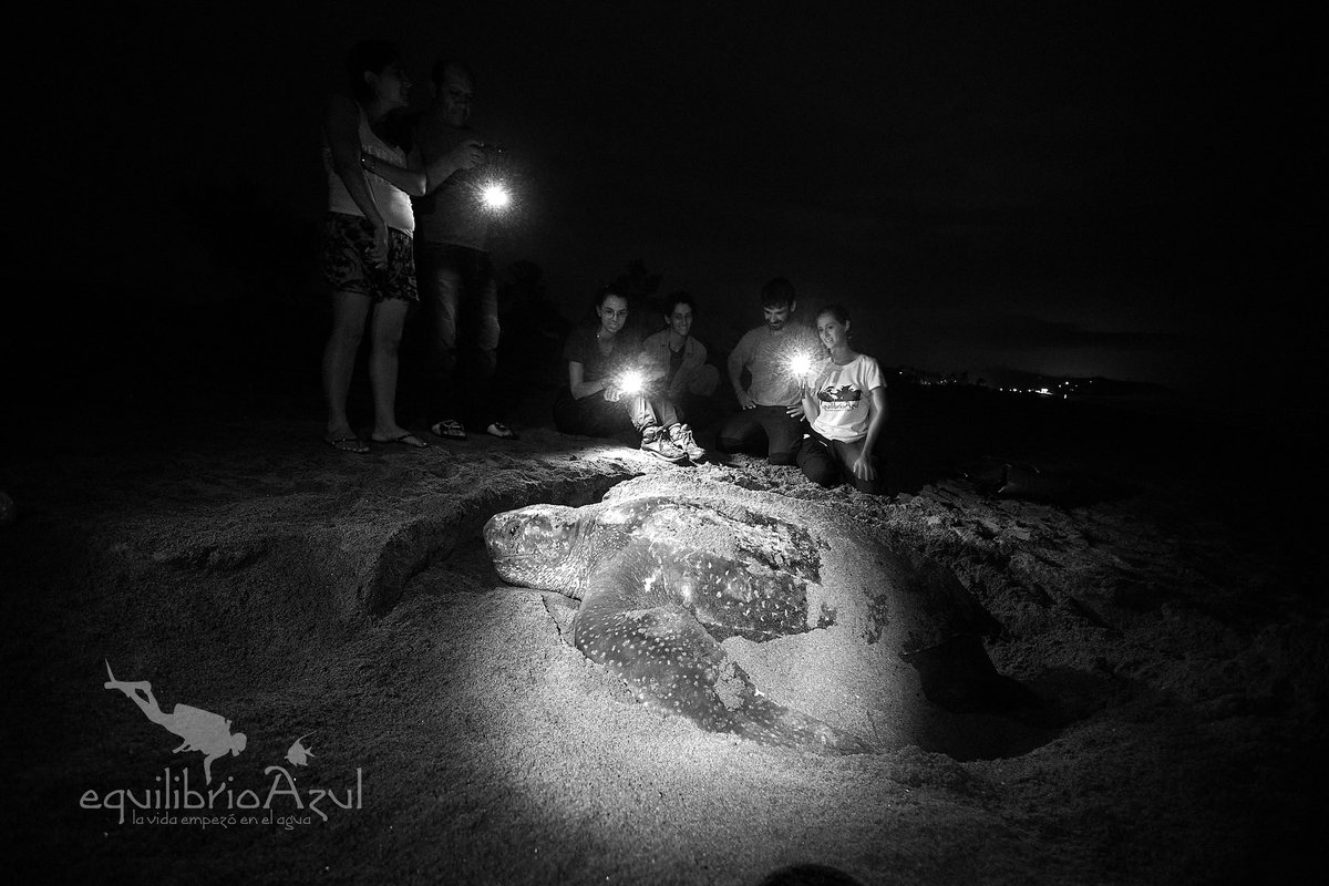 Equilibrio Azul tweet media