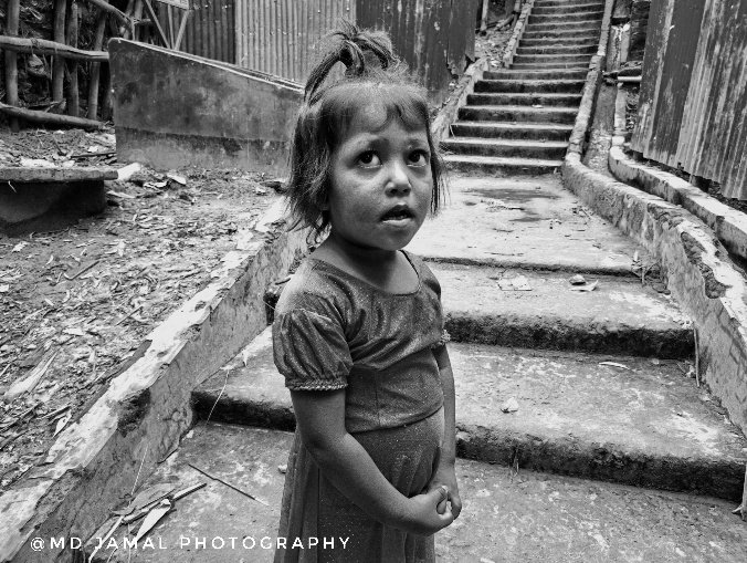 Md Jamal Photography tweet media