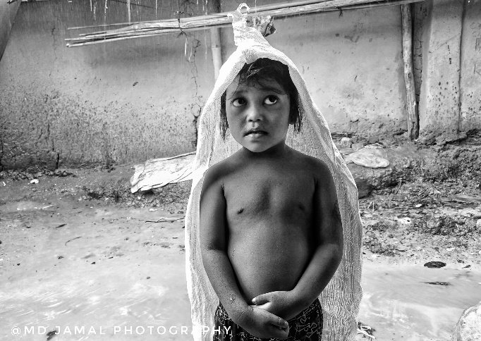 Md Jamal Photography tweet media