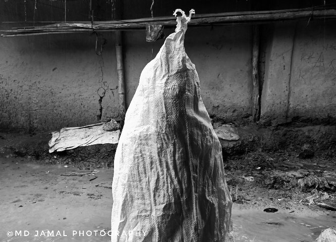 Md Jamal Photography tweet media