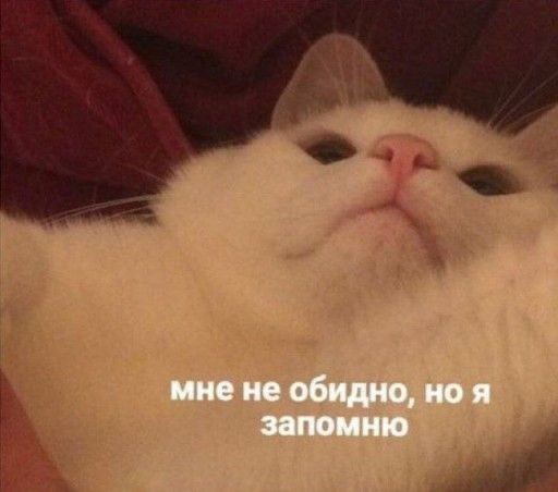 Кевин, когда раскрыл Нила: 

#aftg #allforthegame