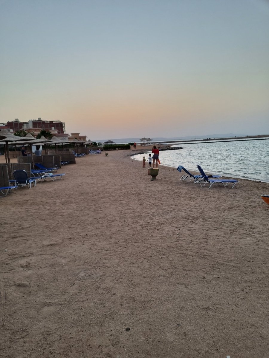 furry4pawsshop's tweet image. Turtle beach in Al ahyaa my home