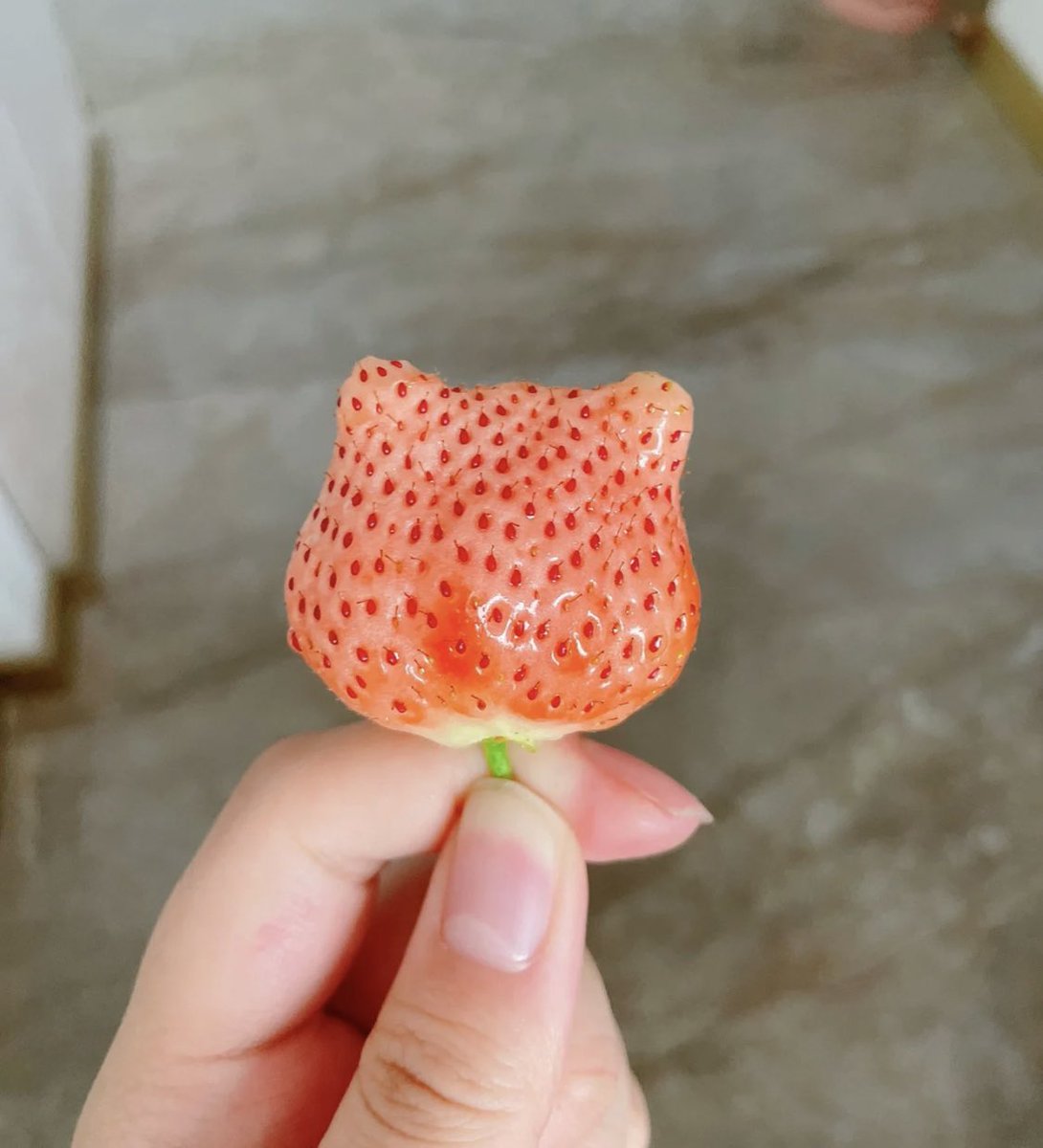 a strawberry-shaped friend! 🍓