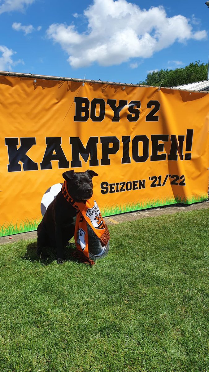 boys_vv's tweet photo. Kampioenen!!!!! https://t.co/CGXiHmmEVF