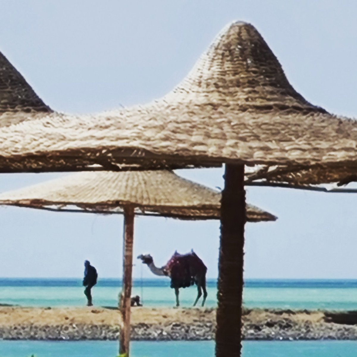 furry4pawsshop's tweet image. A little bit of my paradise