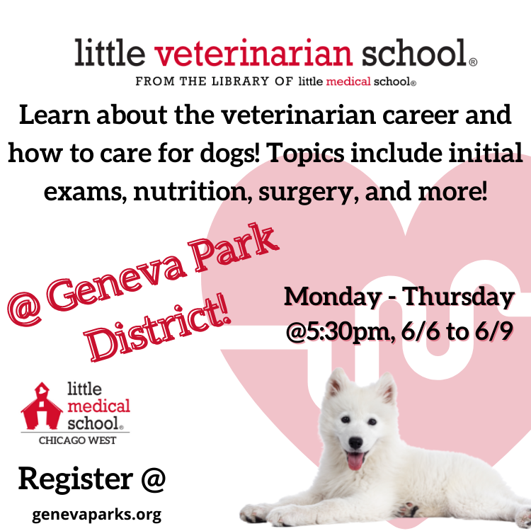 Do I Need To Register My Dog In Chicago