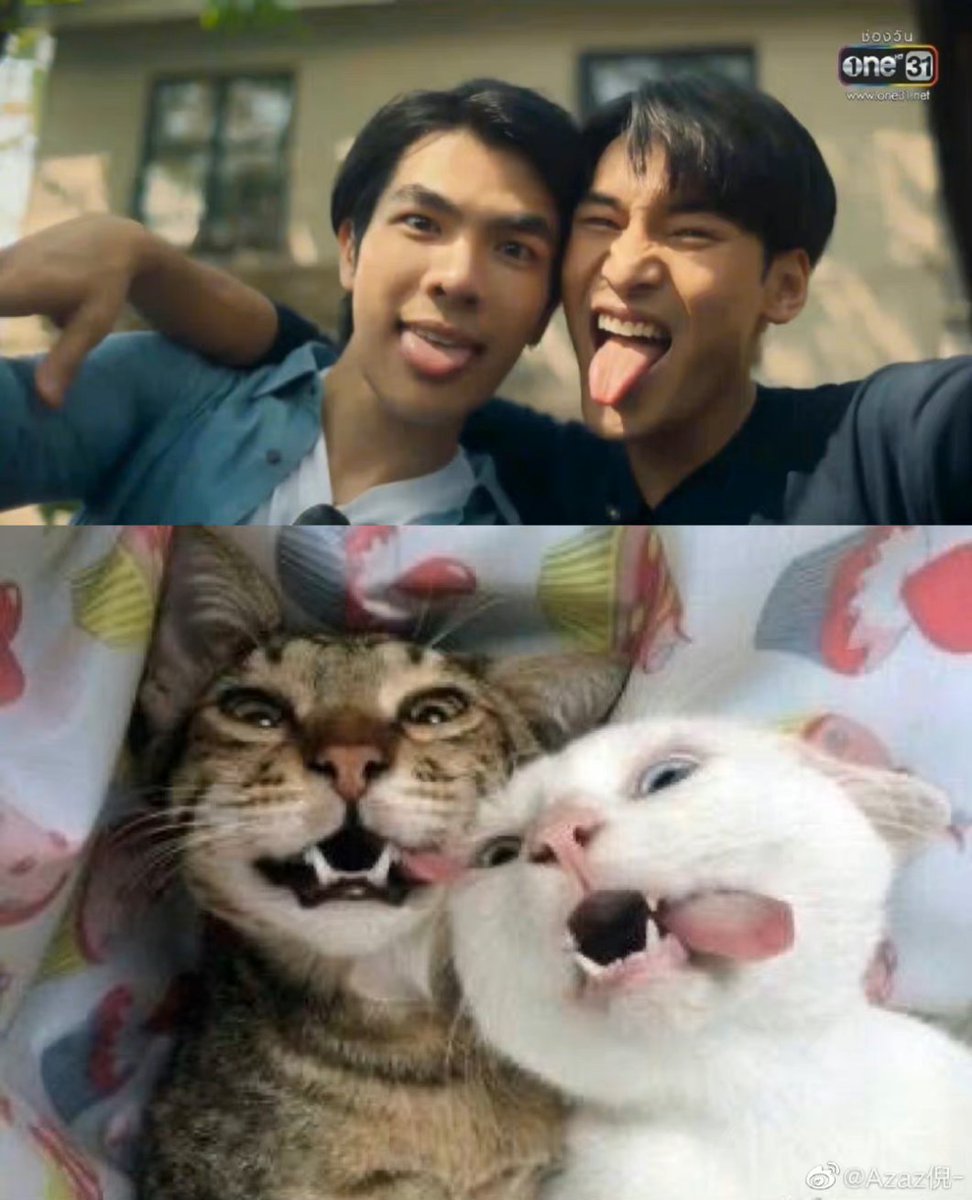 yukia_cao's tweet photo. @milephakphum 😄很可爱 https://t.co/xp81sLAIYW