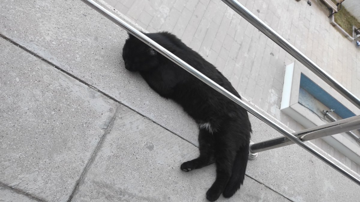 Uçurumun kenarına gidince uyumak da atlamak da senin elinde