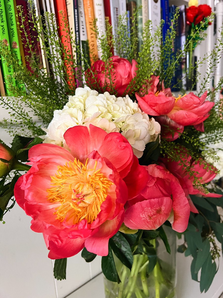 yoitsholly's tweet photo. today’s flower haul: peonies (!!!), hydrangea, green dragon, eucalyptus https://t.co/VuP70JzkSq