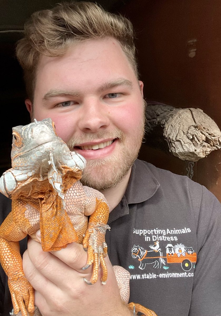 Conr658's tweet photo. Our new inhabitant at the sanctuary! what a gorgeous creature😍 and the iguanas pretty cute too👉🏻👉🏻 #iguana #animalsindistress https://t.co/TH7uwyFgqm
