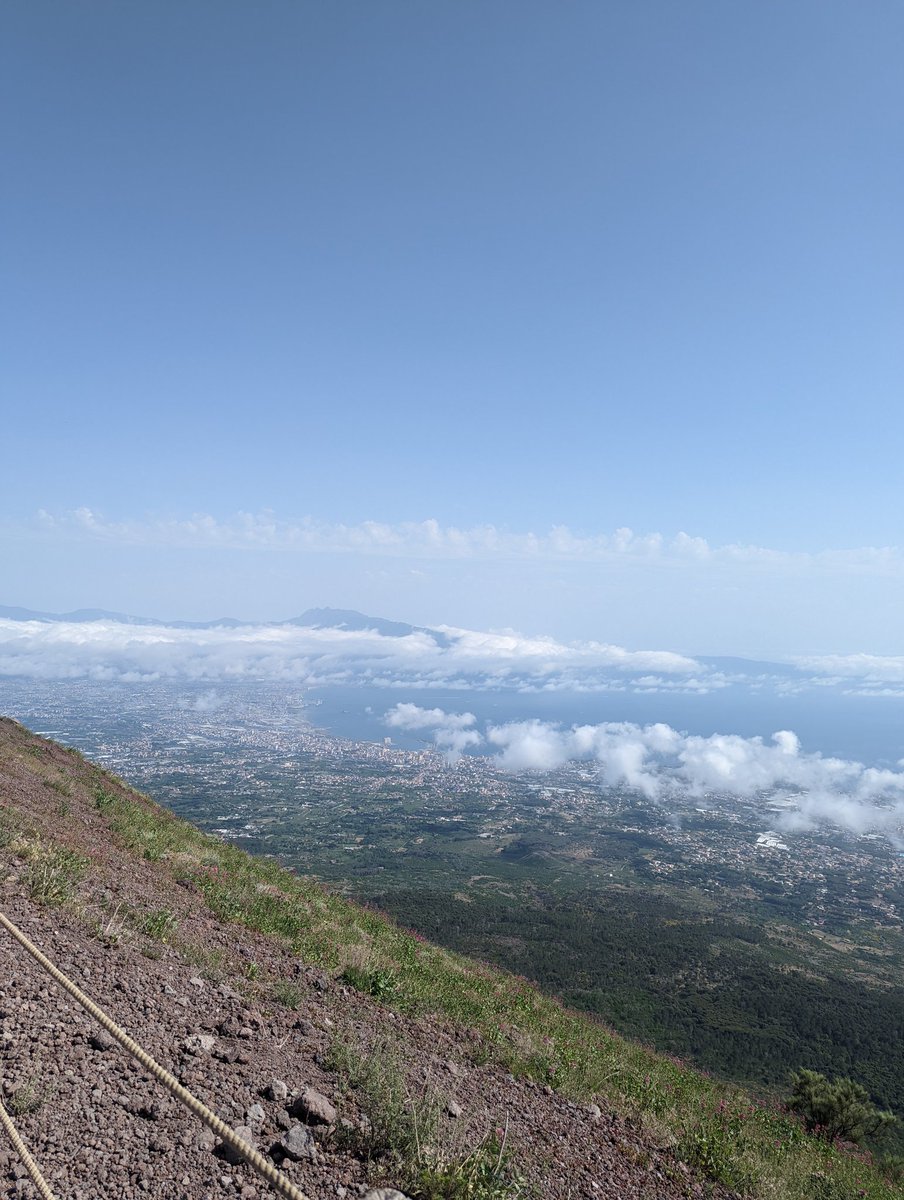 Ellie-May Redfern MPhil, BSc tweet media