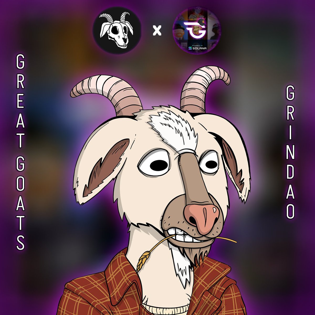 TradeConsciente's tweet photo. @suavaetv @GrinDAO_ @GrinDAO_ @GrinDAO_ @GrinDAO_ @GrinDAO_ @GrinDAO_ @GrinDAO_ @GrinDAO_ @GrinDAO_ @GrinDAO_ @GrinDAO_ @GrinDAO_ @GrinDAO_ @GrinDAO_ @GrinDAO_ https://t.co/U83atM7EQE