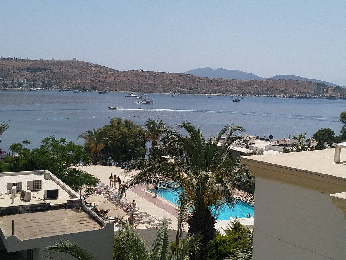 When #jasmy hits £1 this will be my view all year round not for just 2 weeks 

#cryptocurrencies  #Crypto #bitcoin #Jasmy