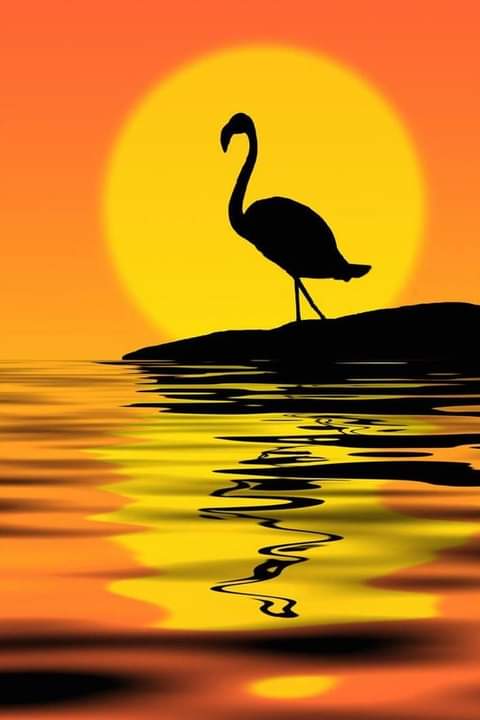 Good evening.. 💛💗