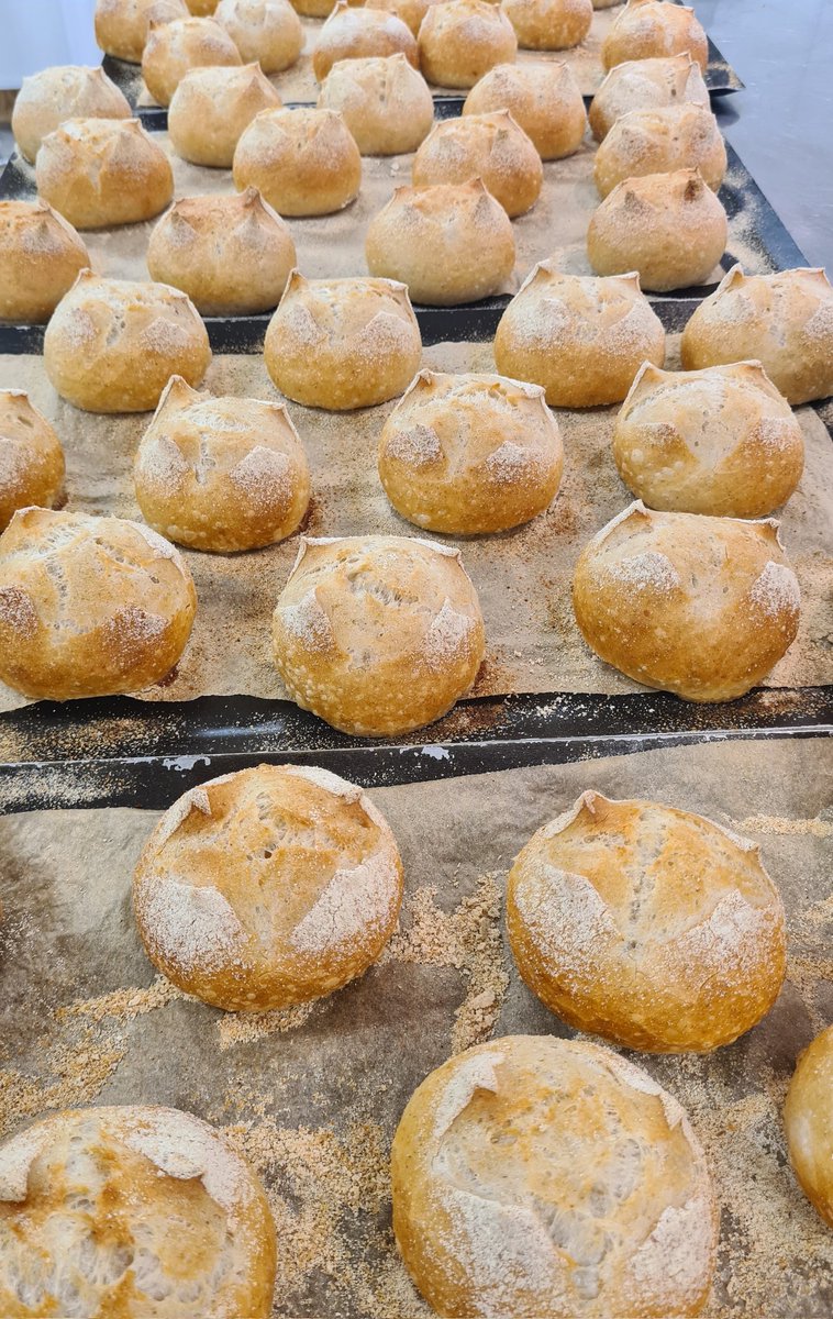 Adam Summers tweet media