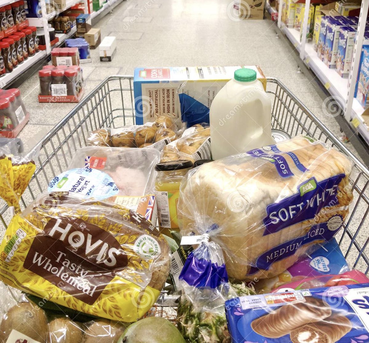 turffboy67's tweet photo. The difference between @turfwidowwife wife grocery shopping and me grocery shopping!
#onlytheessentials 
Guess which cart is mine https://t.co/MOqCcRBSN7