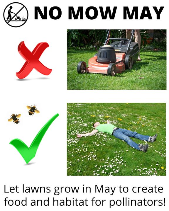 Greenpeace UK tweet media