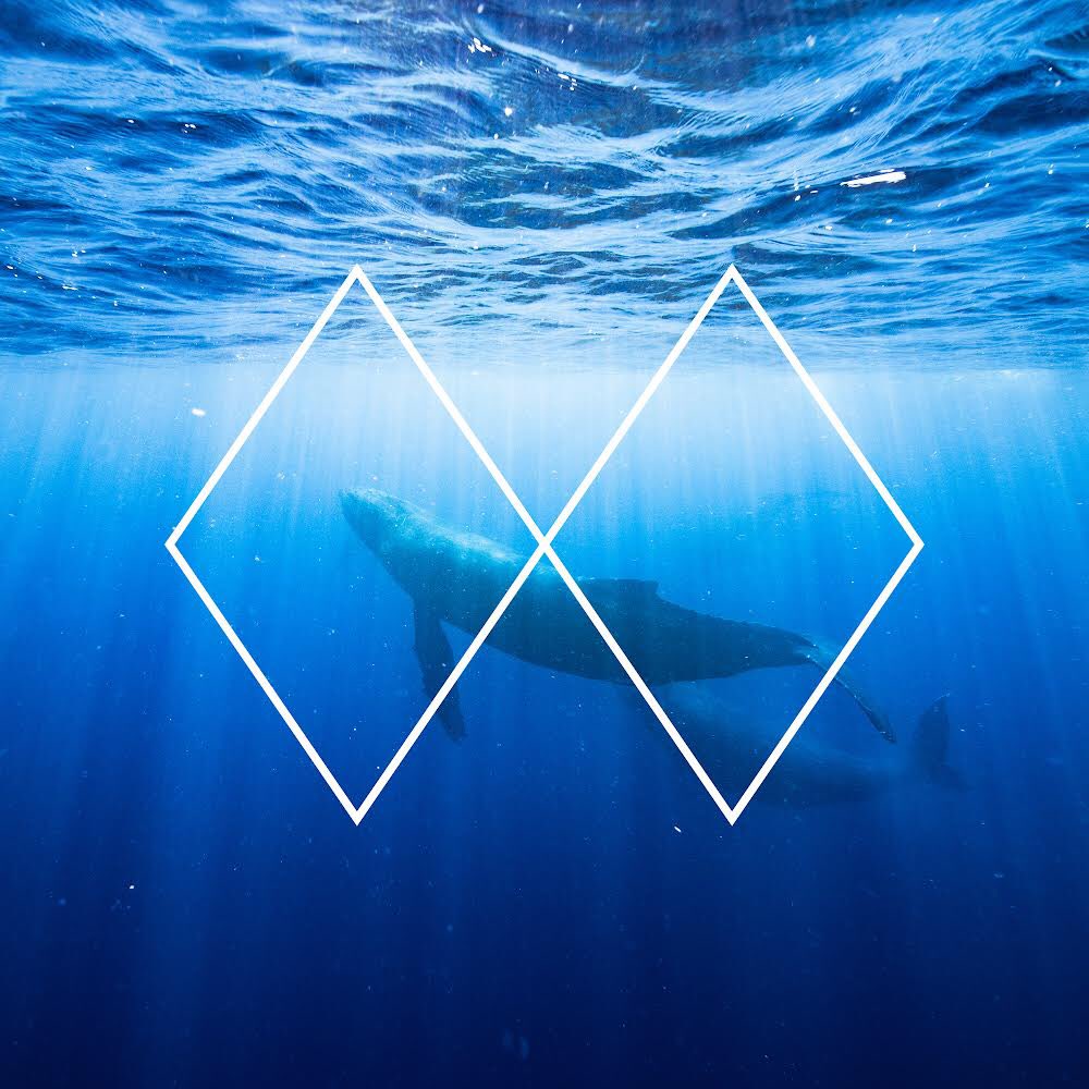 Akira Records tweet media