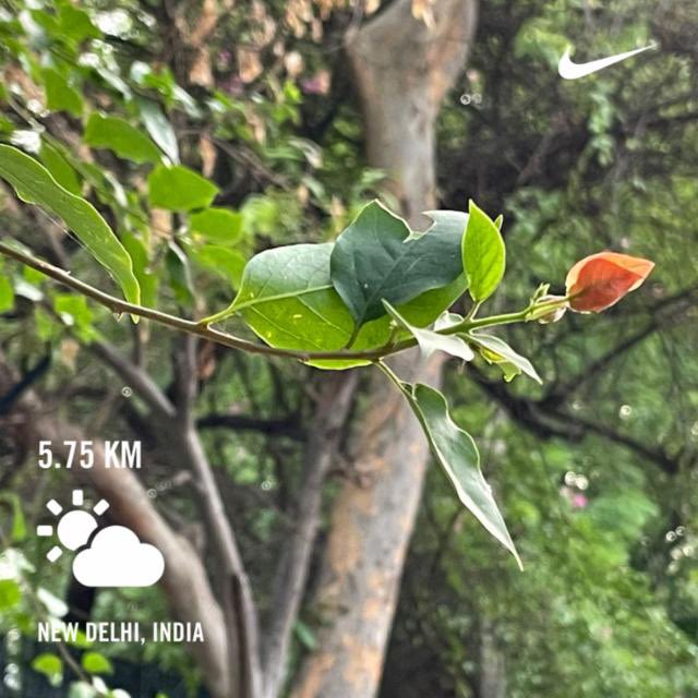 harminderharry's tweet photo. Ran 5.75 kilometres with Nike Run Club
Day2585 of #runningstreak #h_art
Day29 of #100daysofrunningchallenge2022 #HDOR #100daysofrunning
#run #running #nrc #nrcindia #garmin #beatyesterday https://t.co/nbIacPup0N