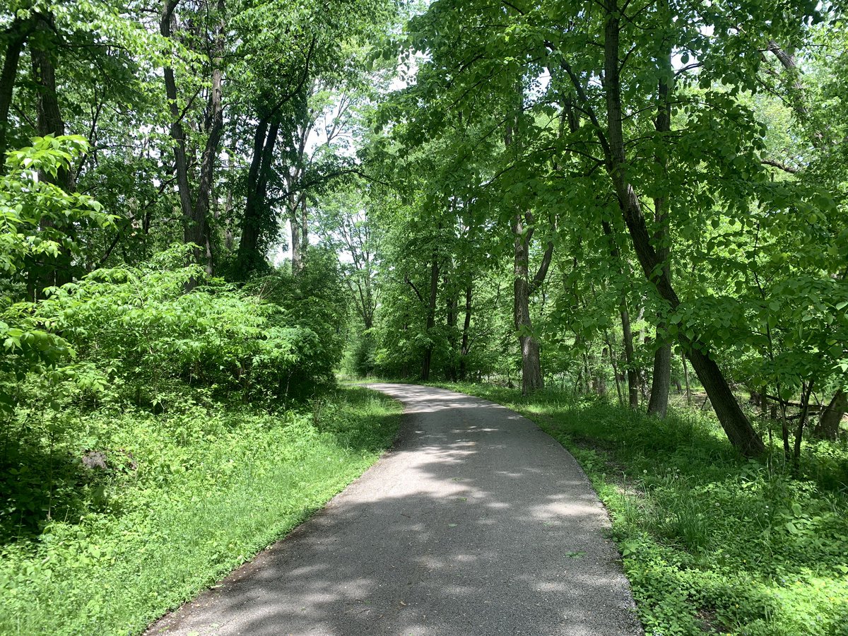 subtle_script's tweet image. It’s been the longest week at work and the sun is out for the first time in days. You know what that means: #stetbike #stetwalk