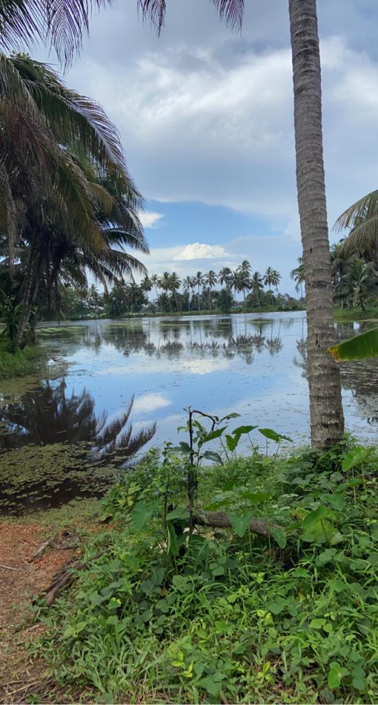 vminflvrr's tweet photo. kerala, India 📍 https://t.co/OnAnjD0JDJ