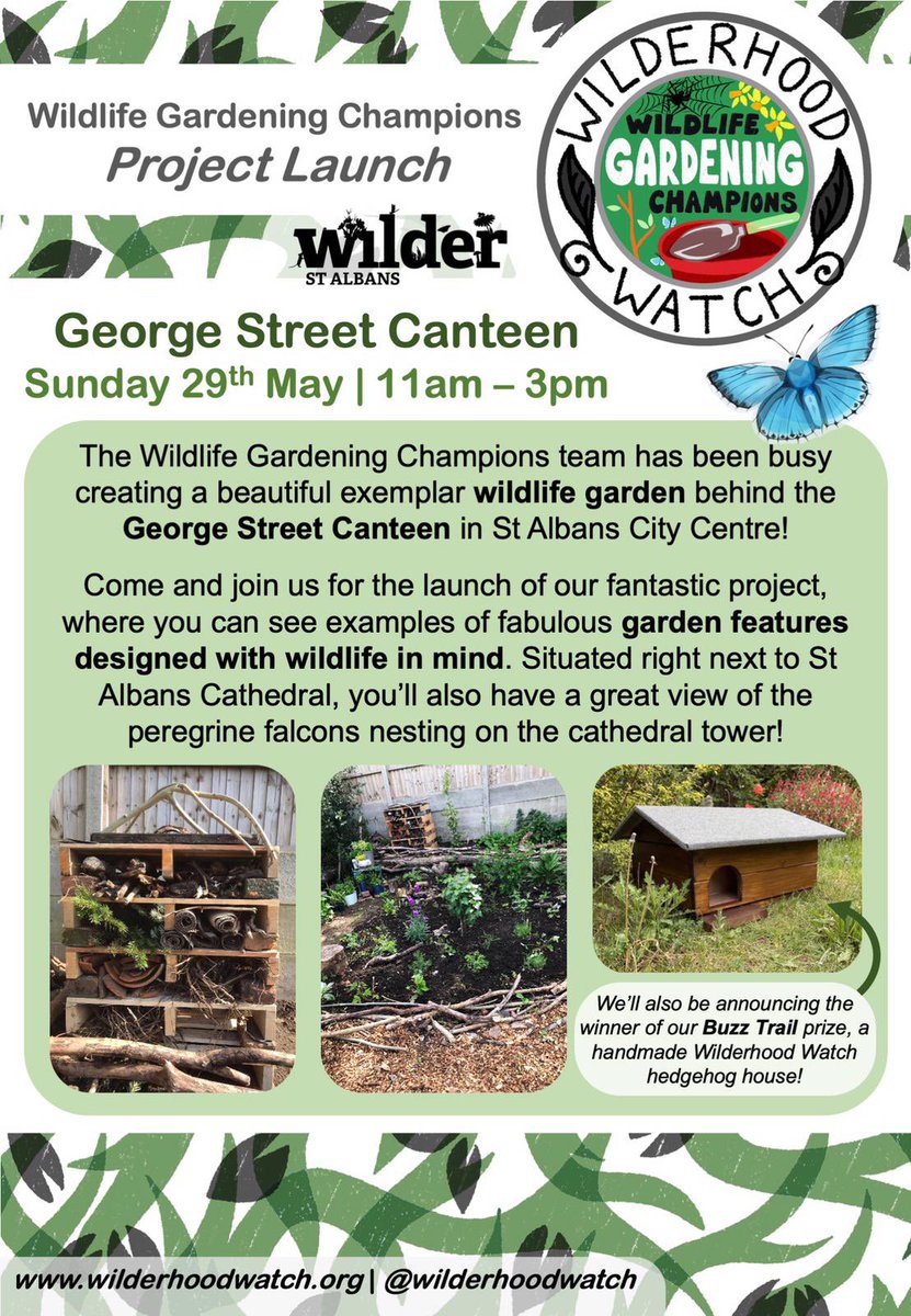 George St Canteen (@georgestcanteen) on Twitter photo 