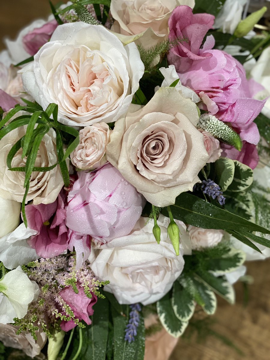 Emma Clarke tweet media