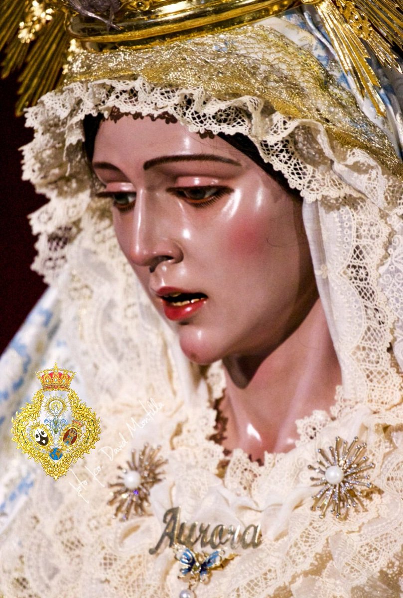 Hdad_Aurora's tweet photo. Un poco de AURORA cada día. 

Con ella caminando hacia el encuentro de Dios🙏

Es SÁBADO DE AURORA

#FelizSabado #CofradíasMLG https://t.co/otaryO6Y1M