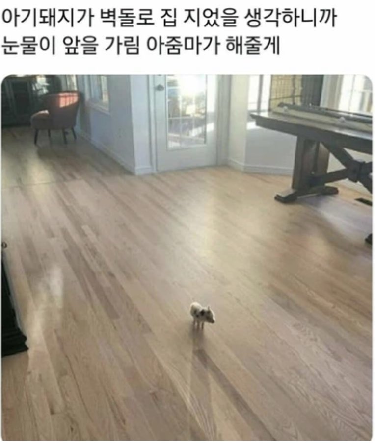 폼폼푸짐재현이에게