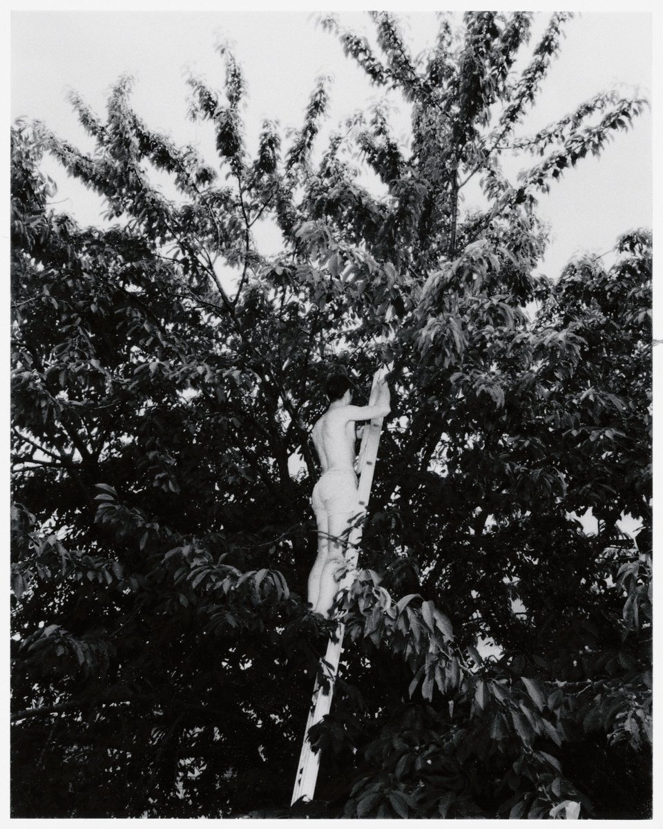 NFT ARTWORK by Pietro Bucciarelli <a href="/pietro_bup/">Pietro Bucciarelli</a> 2021, Edition 1 of 1 From the project "Sognacci". Result of a year of lucid dreams. uncontaminated.co/artworks/5347/… #nftart #nfts #NFTartwork #nftphotography