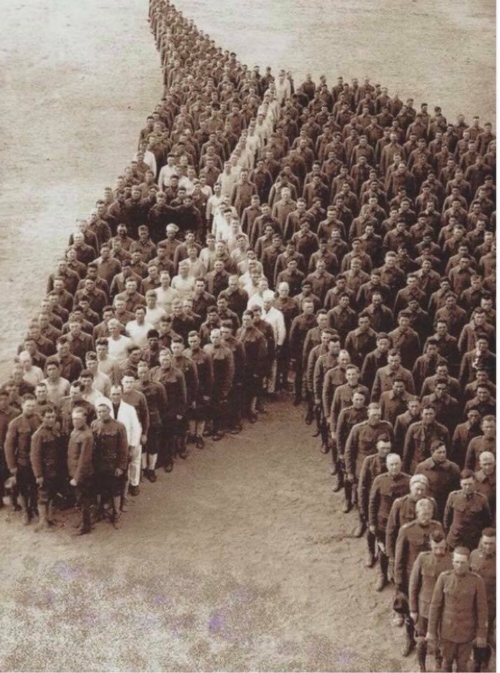 U.S. soldiers paying tribute to the horses, mules and donkeys who lost their lives during WWI, 1918.
Congress: don't turn your back on America's horses. #NoHorseSlaughter #KeepWildHorsesWild #MemorialDay