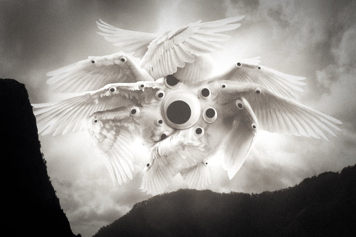 Valdevia_Art's tweet photo. My promise to you: I will never stop making found footage images of angels (in whatever forms they may take). https://t.co/IMnlDOH9G8