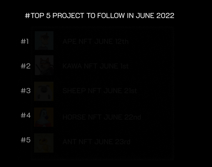 RecycleBinNFT tweet media