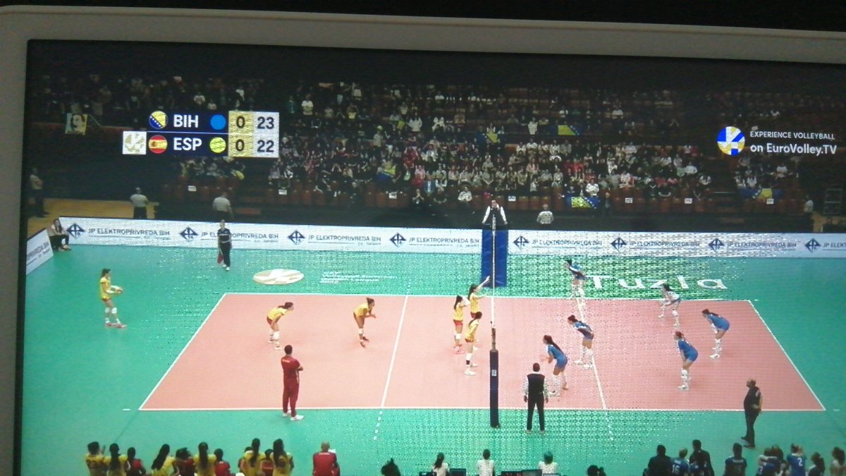 endiagonalcorta's tweet photo. Que le jodan al fútbol de momento @selfemvoleibol https://t.co/SCsWF6Zow0
