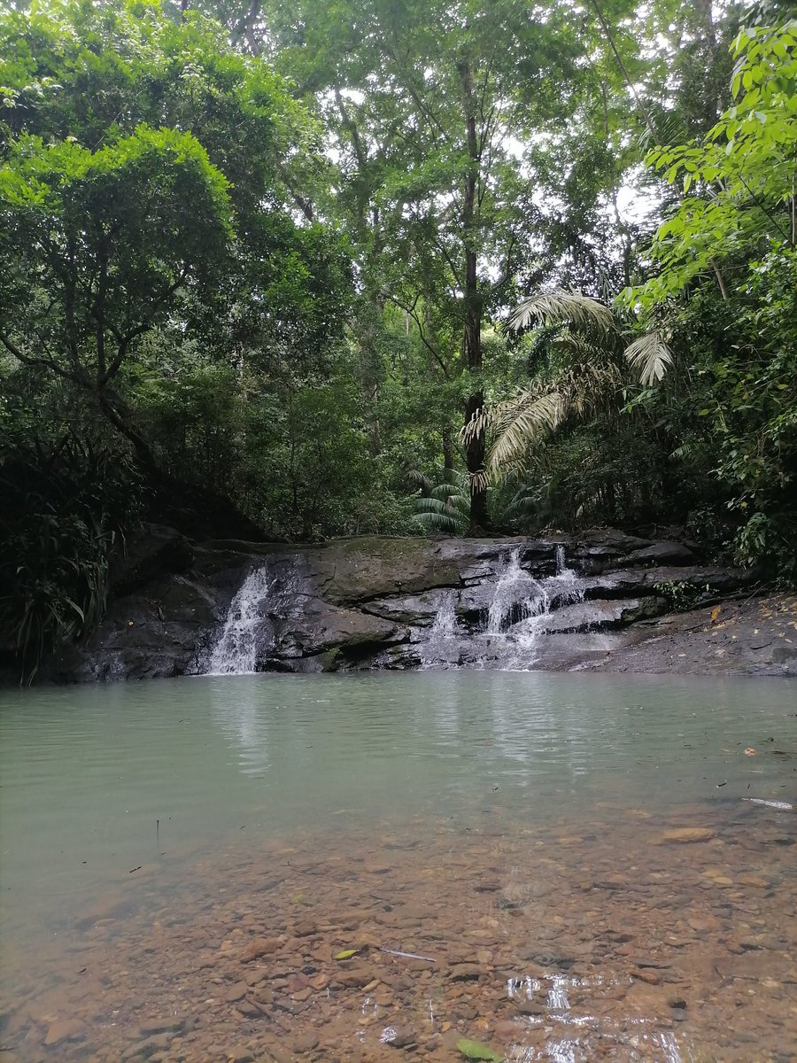 Acá va el dato económico... Sendero El Charco en el Parque Nacional Soberanía, entrada gratis... El único requisito es que no dejes basura!!