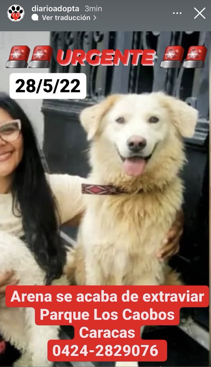 Elisa Rodriguez tweet media
