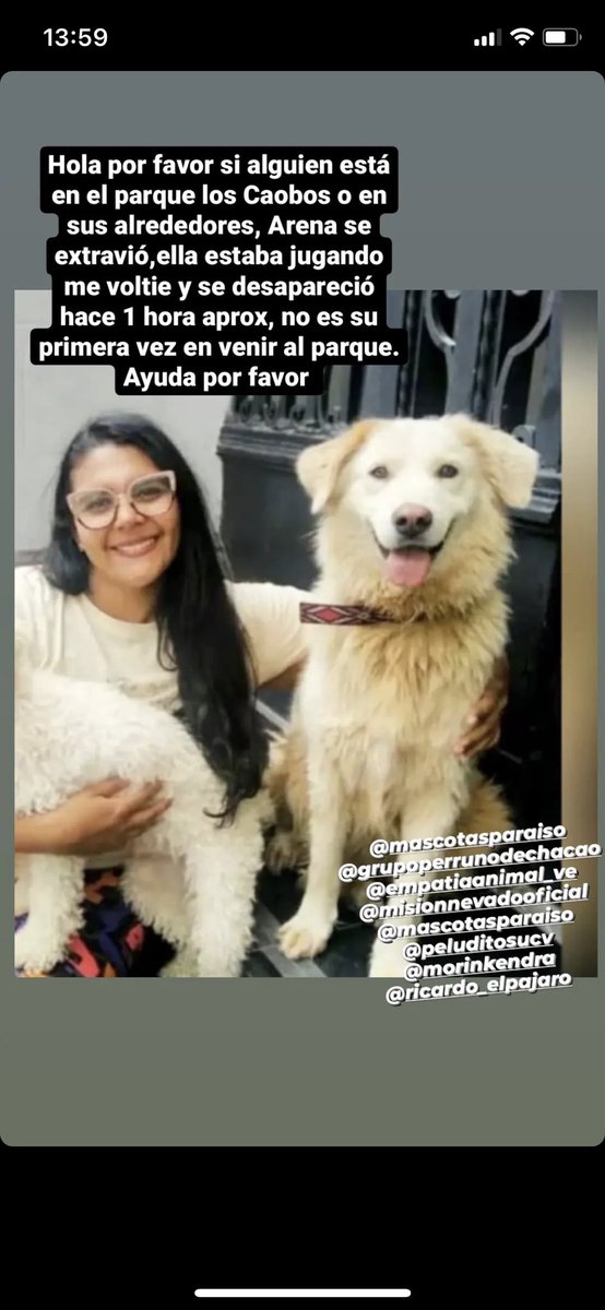 Elisa Rodriguez tweet media